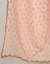 Zari motifs dupatta with lace