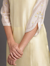 Two tone silk chanderi kurta with embroidery
