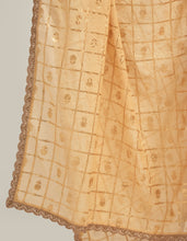 Zari motifs dupatta with lace