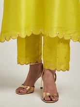 Embroidered yoke kurta and pant