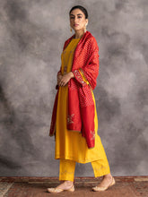Red chanderi embroidered dupatta with trims